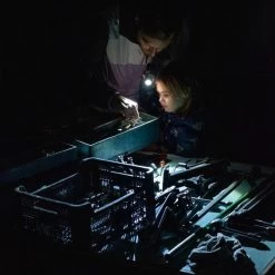 LED Lenser P6 Police Core Torch -Camping Supplies Sale LED20Lenser20P6 5